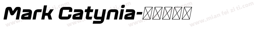Mark Catynia字体转换